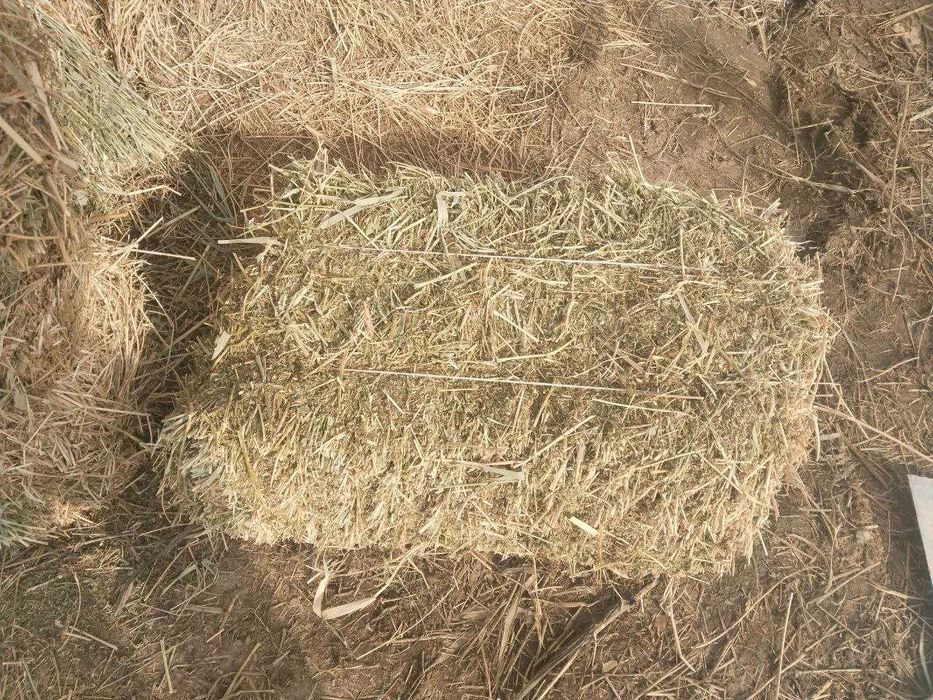 Беда пресс сотилади (тоза)