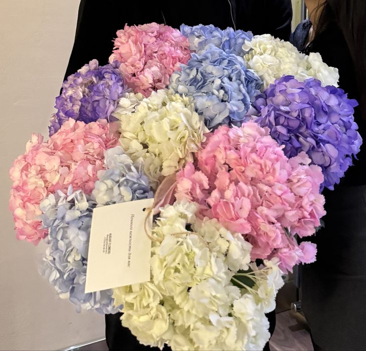 Продам Цветы гортензии в корзине