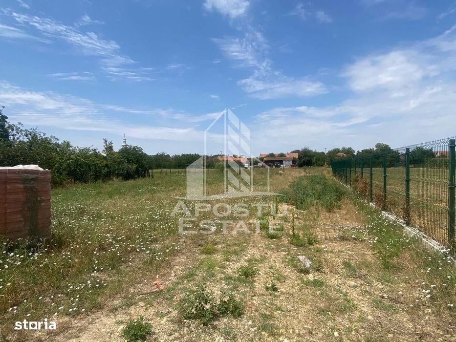 Teren constructii intravilan de vanzare Dragsina Timis 1000 mp