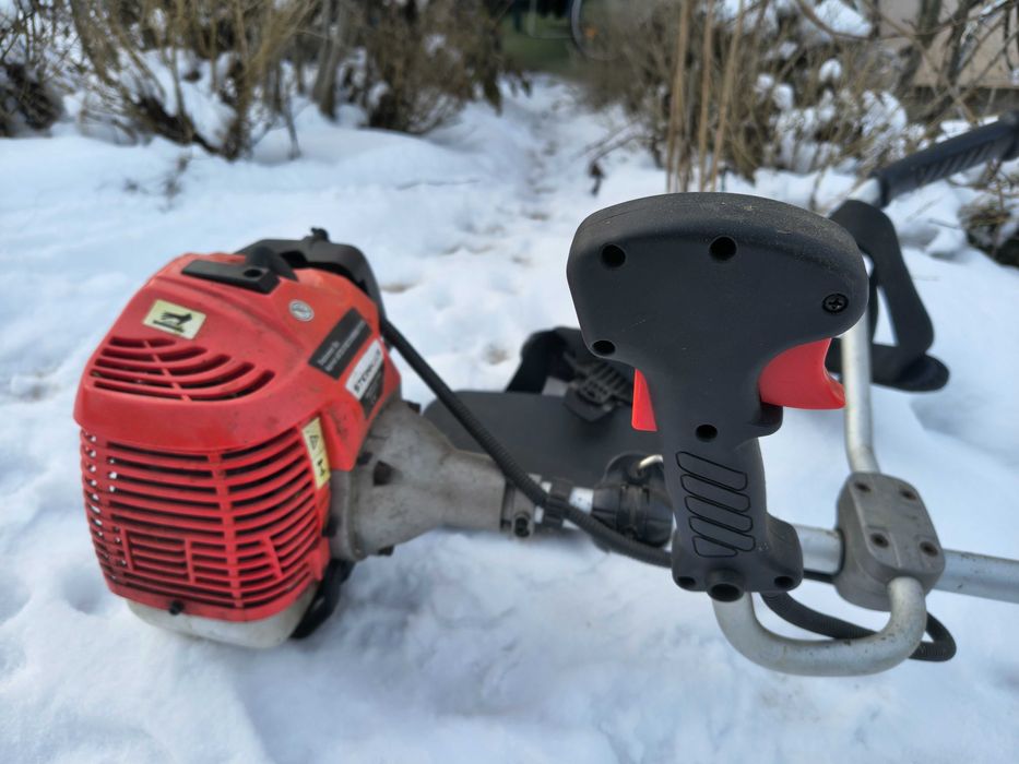 Vand motocoasa Steinhaus