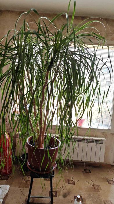 Мебели за хол и градина в отлично състояние