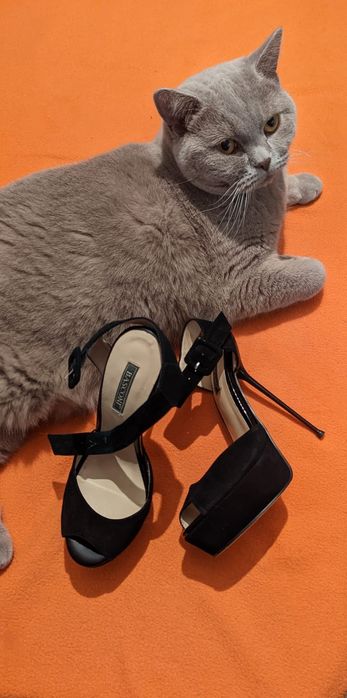 Продам босоножки BASCONI