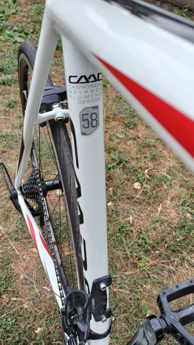 Cursiera Cannondale CAAD8