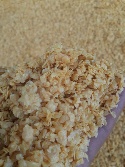 Mishel Wild lateks fotosuratda