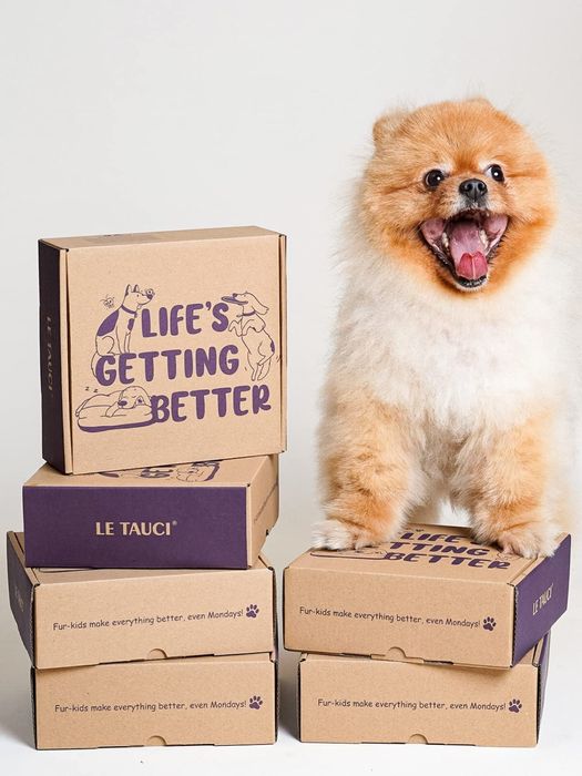 LE TAUCI Bol ceramic pentru câini -