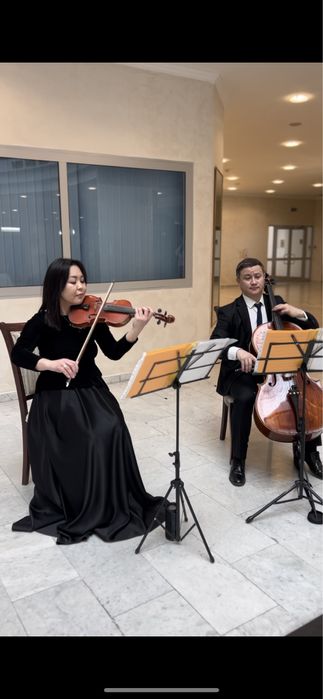 Дуэт трио скрипка и виолончель