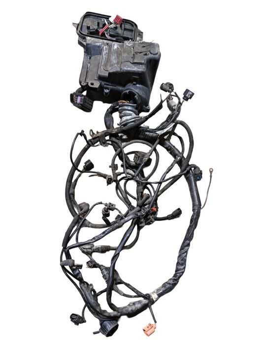 Instalatie Electrica Motor Automat Audi A4 Iii 8Ec, B7 2004 - 2008 2.0