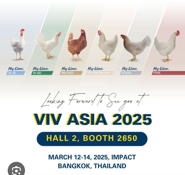 Сертухум Макён Хай-лайн жужалари сотилади