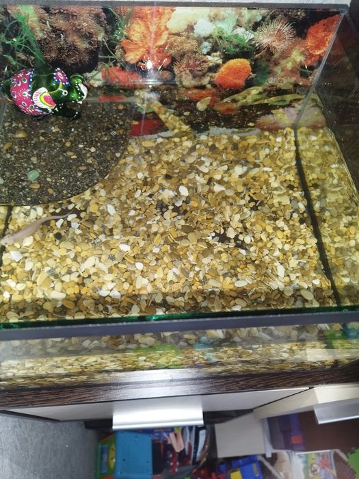 Аквариум продам .