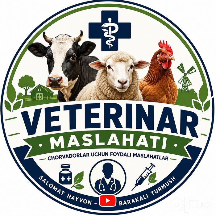 Qoʻy va echkilarni yungini olish va tuyoq kesish xizmatlari mavjud