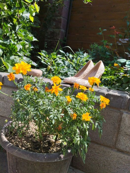 Продам несколько туфель