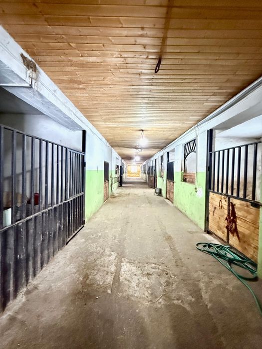 Щучинск. Трасса Щучинск- Катарколь