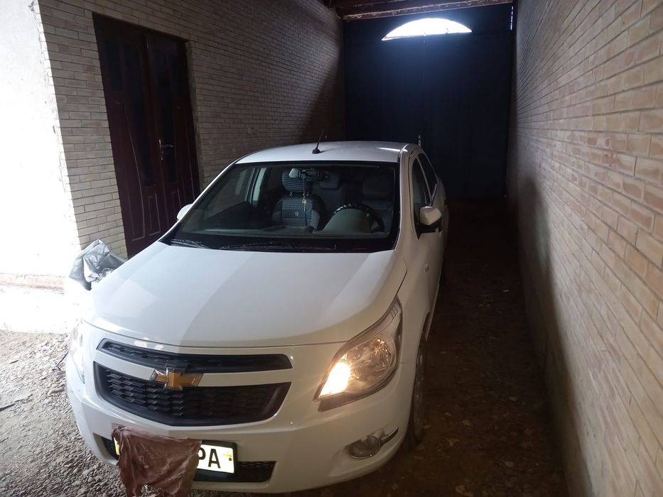 Kobalt 2 pozitsiya  bita odam mingan