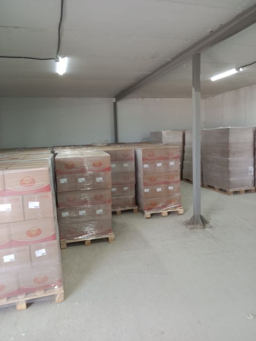 Холодильные камеры сдам в аренду