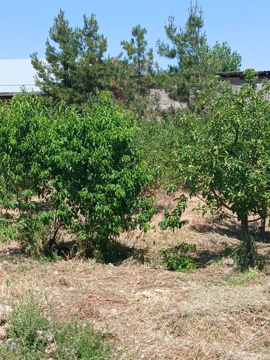 Земельный участок 11 соток Кибрай