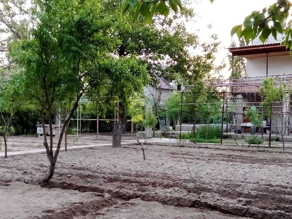 Продается дача 16,5 сотих рядом с Ташкентом