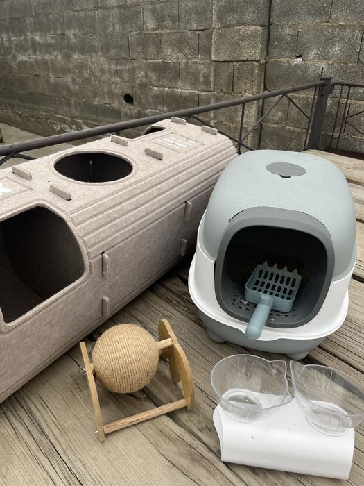 Дом кошки и туалет