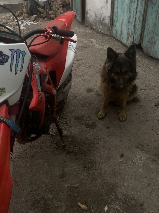 Эндуро 300 продажа/обмен