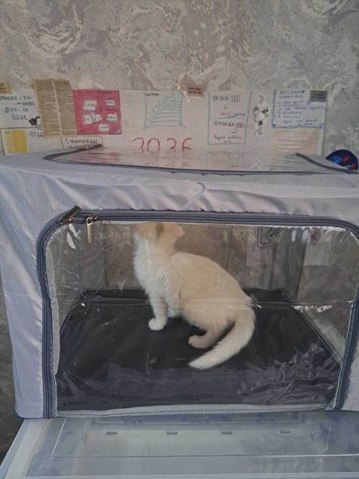 Домик теплый закритый для кошек