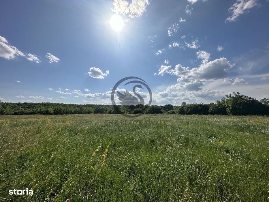 Teren intravilan de vanzare | 11.000 mp | Ghirdoveni | Comision 0%