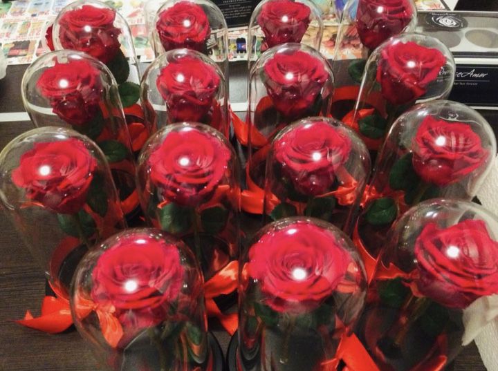 Trandafir rosu in cupola de 17-20-25 cm