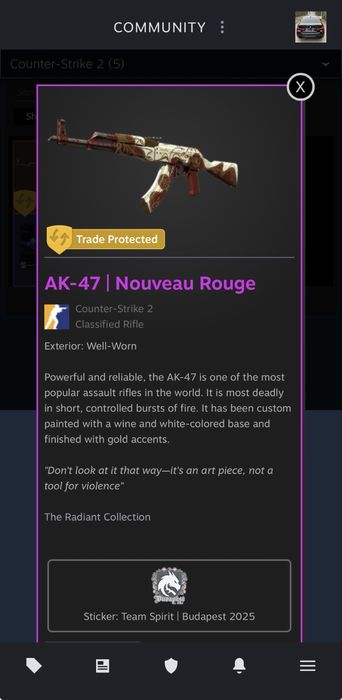 Скин калаш нуво руж cs2