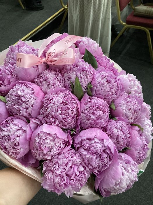 Свежие ПИОНЫ.  г.Павлодар