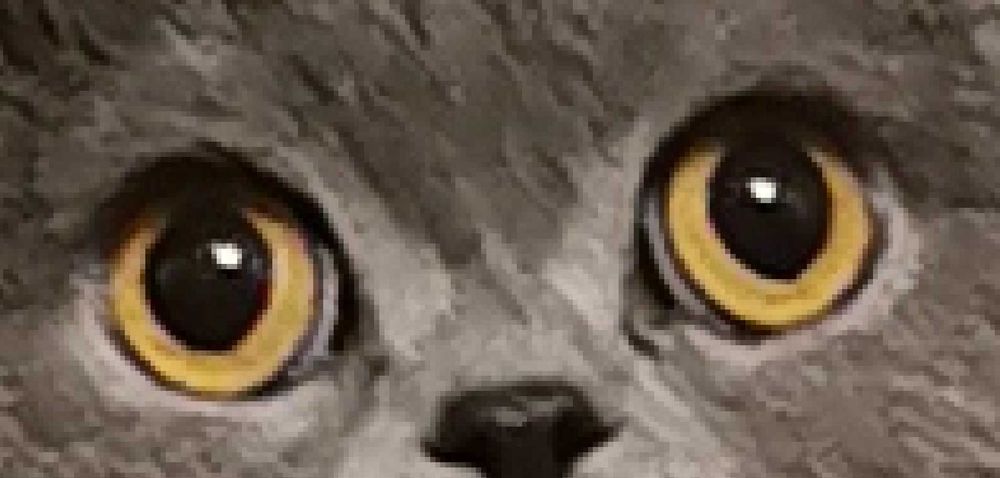 Turn ansamblu de joaca pentru pisici FEANDREA  55x40x164cm