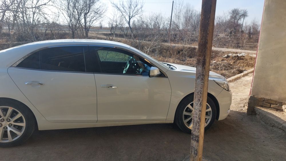 Малибу 1 .2пазитсия