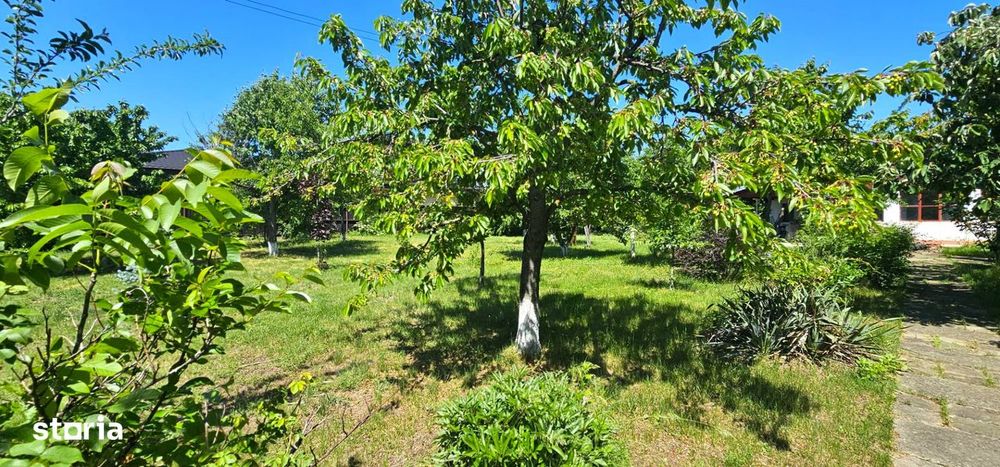 RARA AVIS! Teren 1550 mp, deschidere 31 m, zona Ferme, Otopeni