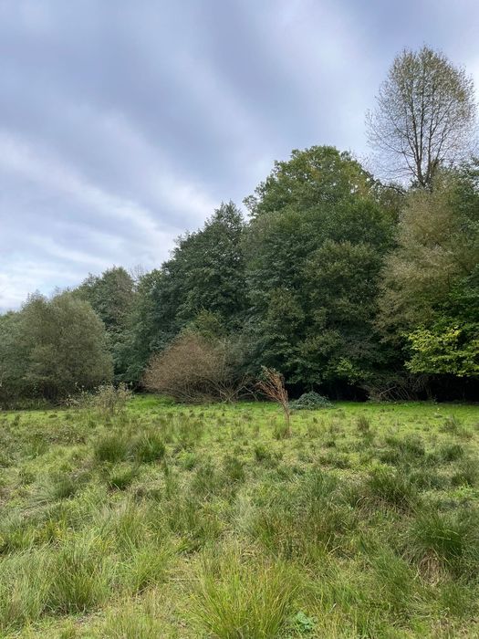 Casă cu teren 2 hectare intravilan