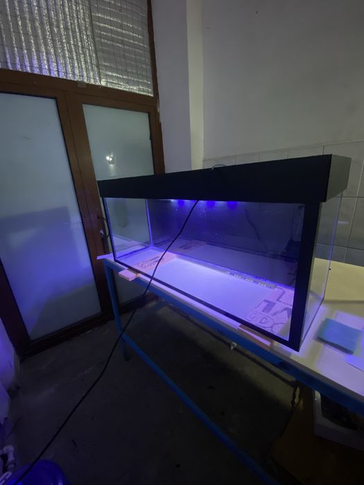 Аквариум хар хил турдаги 100мингдан бошлаб