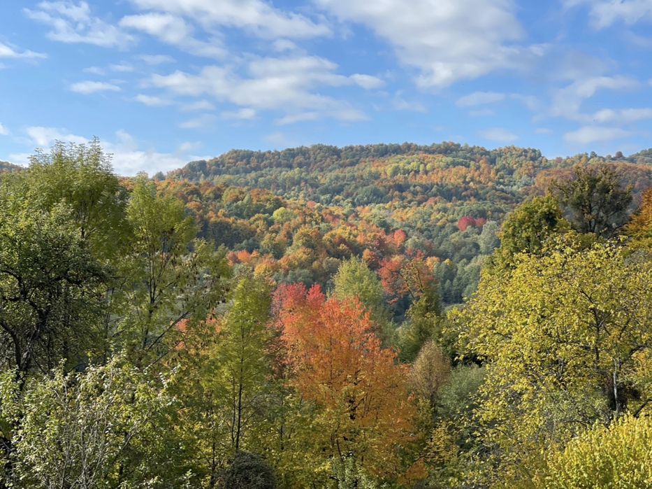 Vilă modernă de vacanță 40 m² + teren 500 m² – Forest Nest Breaza