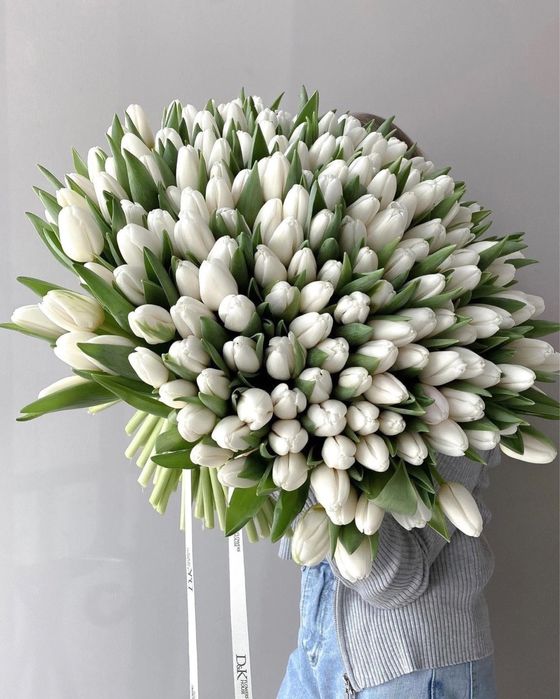 Тюльпаны от производителя