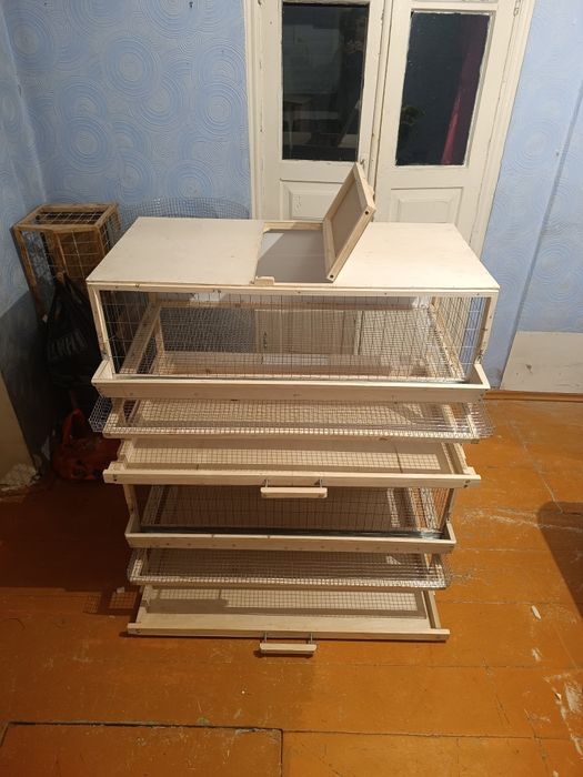 Клетки для перепелов несушек