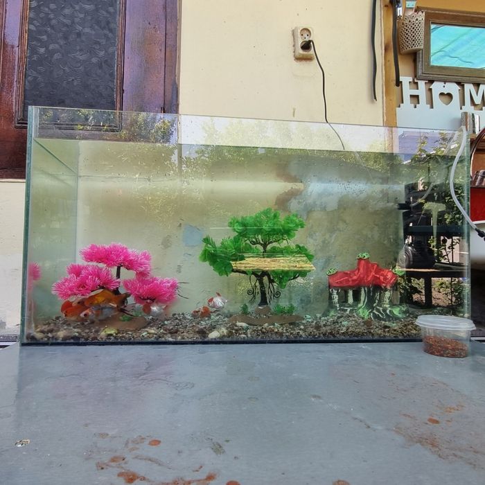 akvarium sotiladi oynali idishi baliqlari bilan