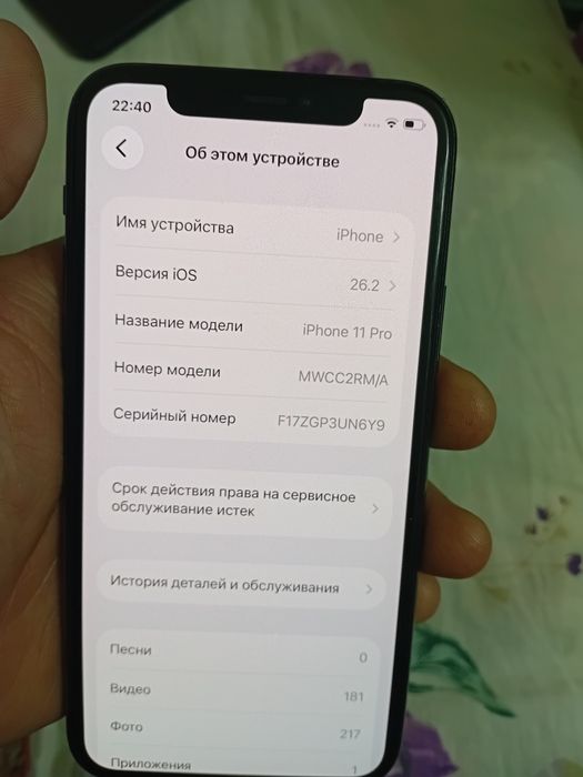 11 про 256 гб идеал