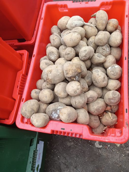 Отходы для сель хоз животных