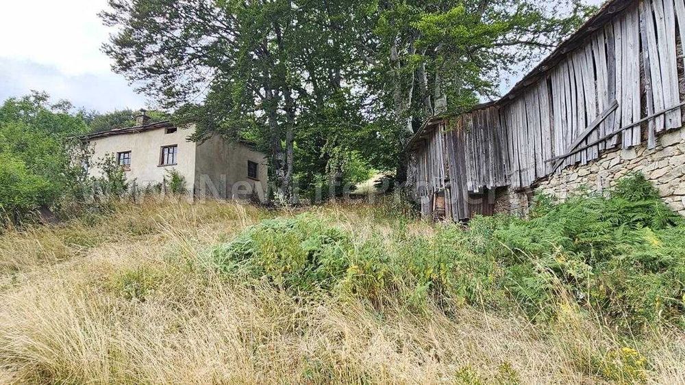 Къща в гората в с. Стърница, обл. Смолян