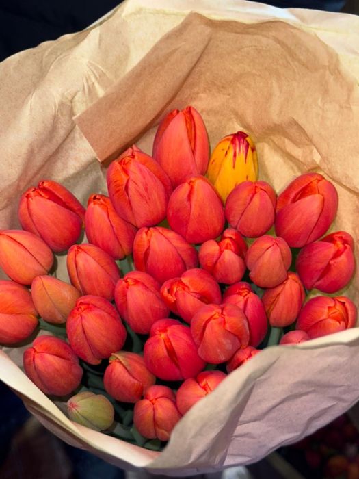 Тюльпаны на 8 марта