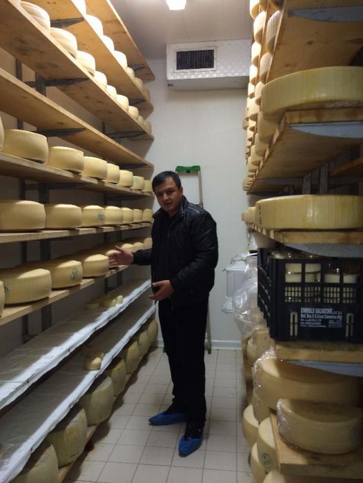 Сутни кайта ишлаш ускуналари (пишлок. каймок, сметана, йогурт)