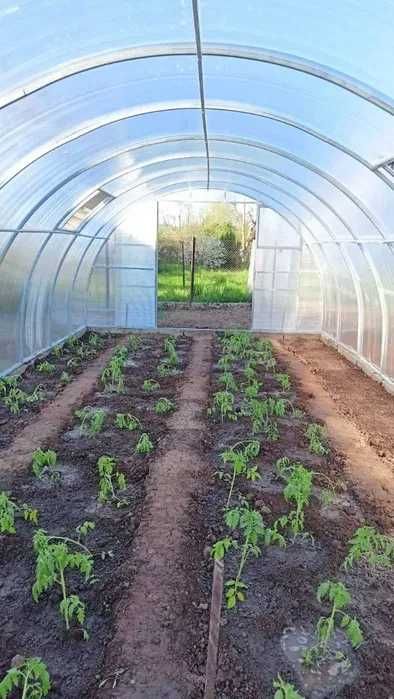 Oранжерия Primaterra Agro