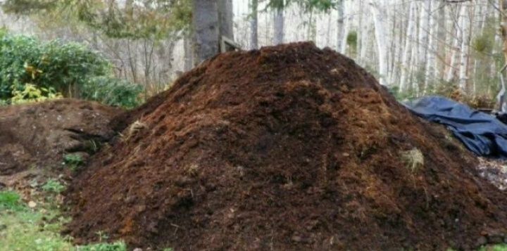 Навоз Перегной Доставка!