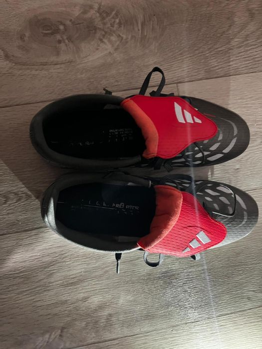 Сороконожки предаторы 26