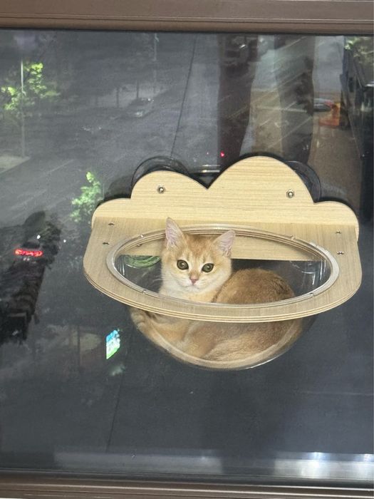 Гамак для кошки лежак для кошки