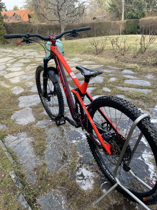 Canyon Strive 2022