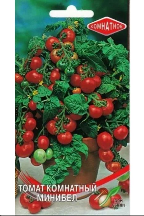 Продам кустики Помидор Минибел