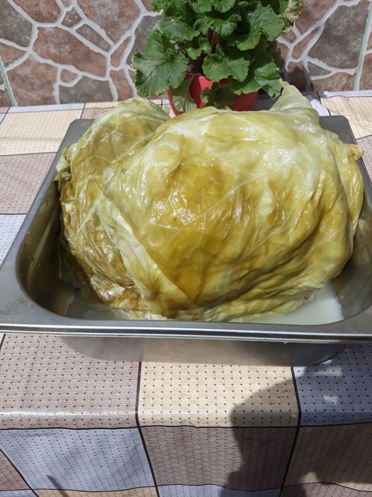 Vand varza murata 6 lei kg