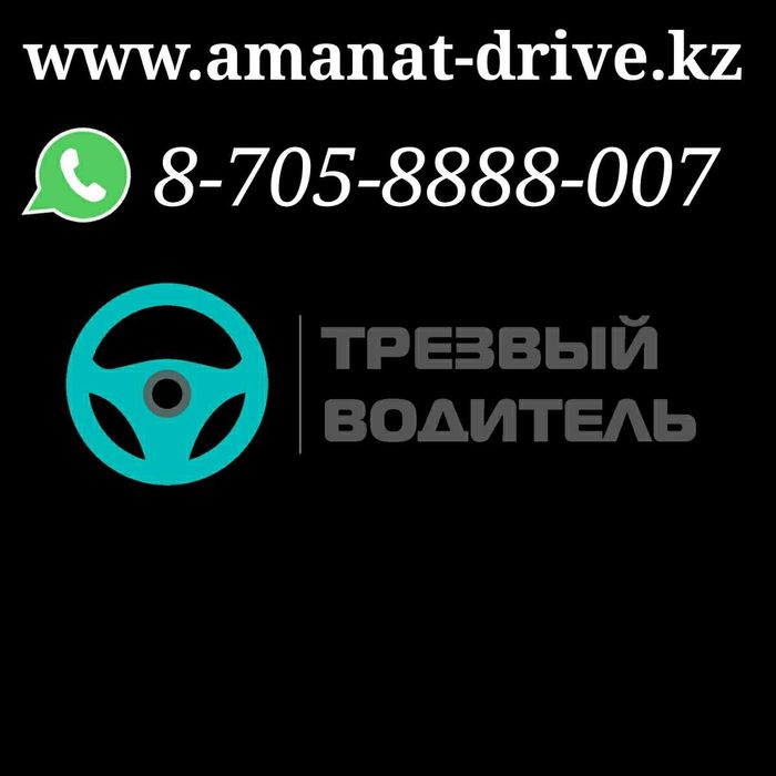 Трезвый водитель