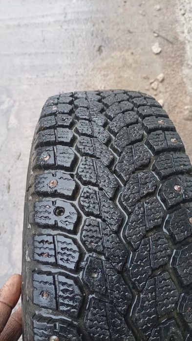 Зимняя резина шипованная